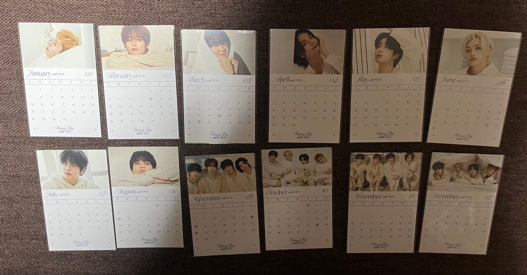 Perfect Day with SKZ セット