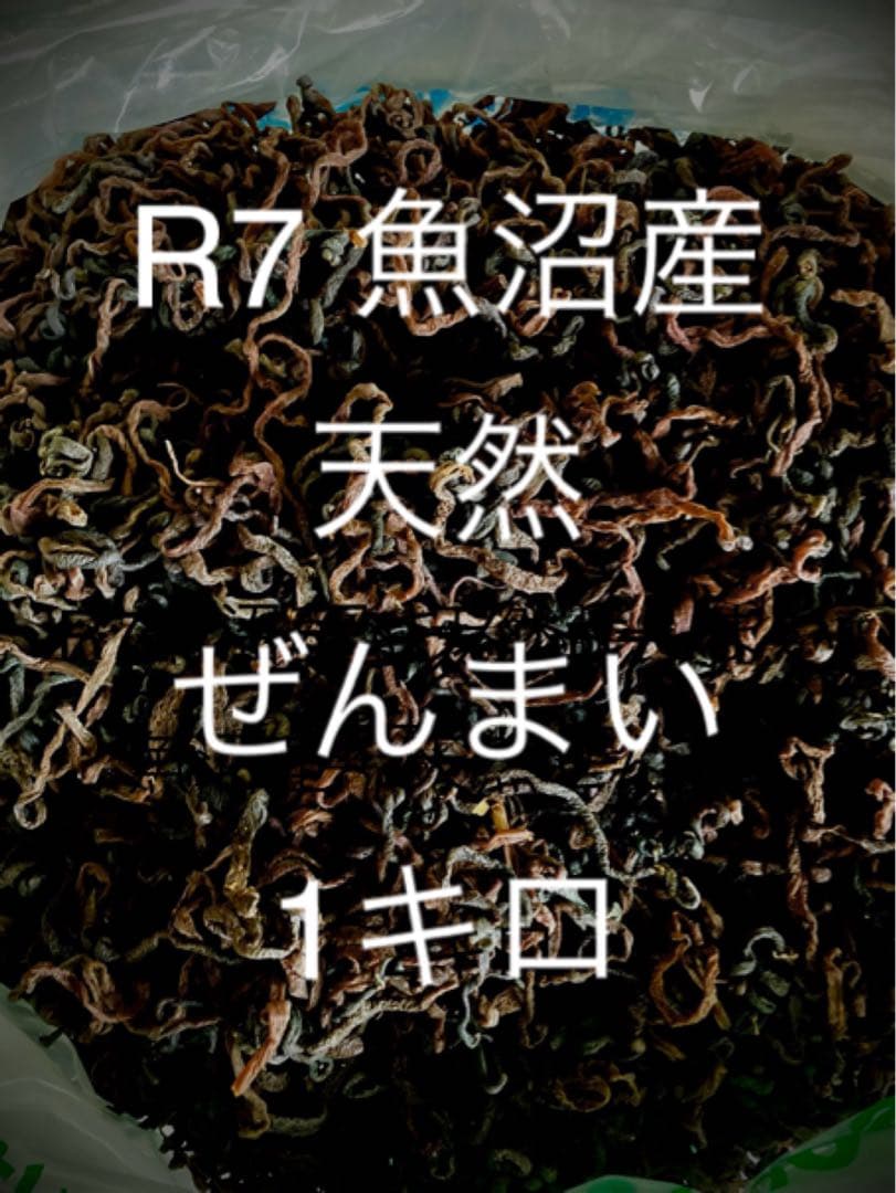 魚沼産天然ぜんまい 1kg