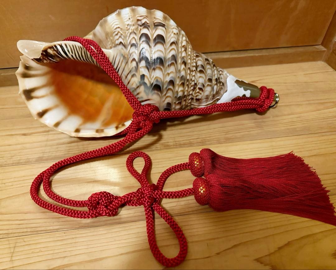 特大41.5㎝修験道法螺貝　山伏　密教　魔除け　赤紐付き　ほら貝