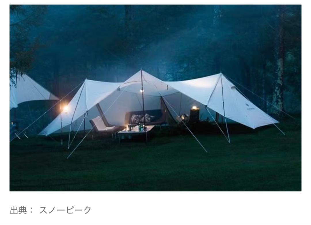 く*ん様  peak ランドステーションL アイボリー ウイングポール