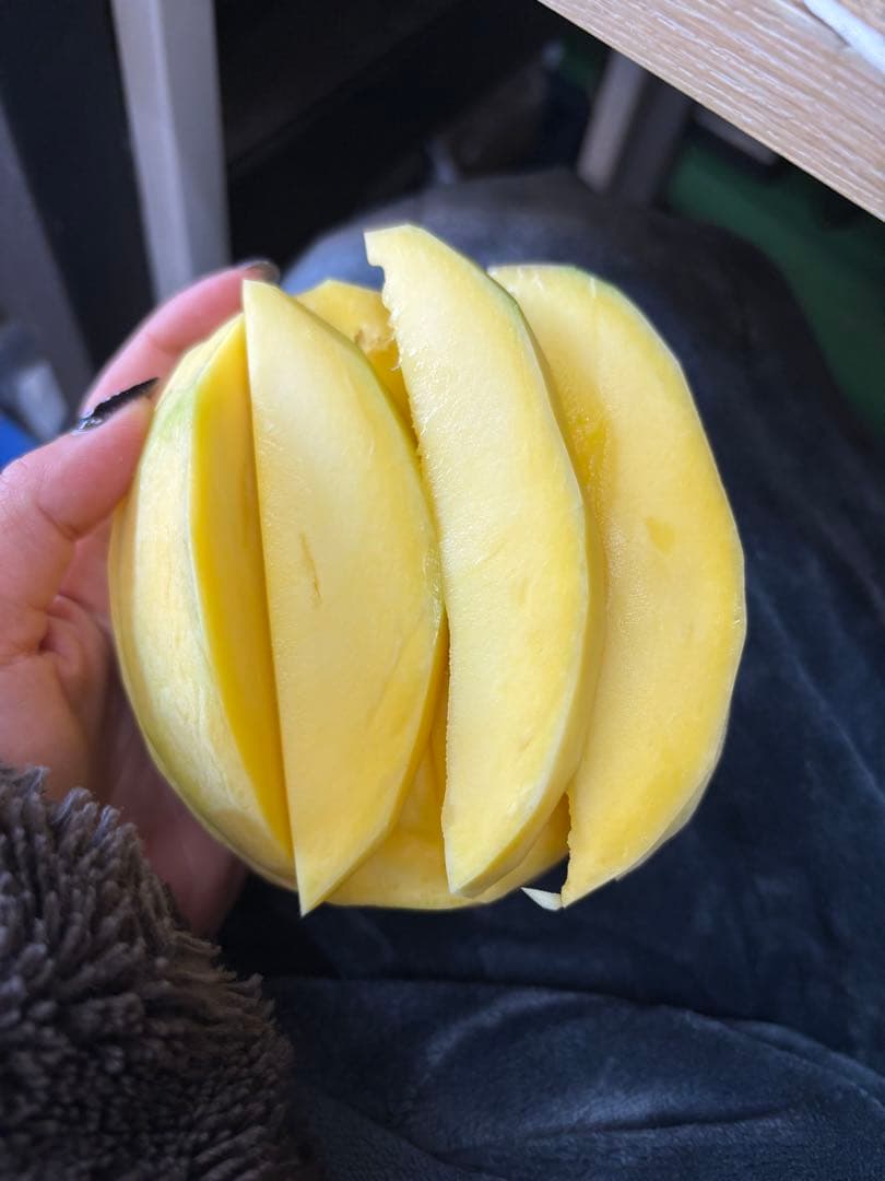 蝶々華　コストコマンゴー　4箱 (12個)