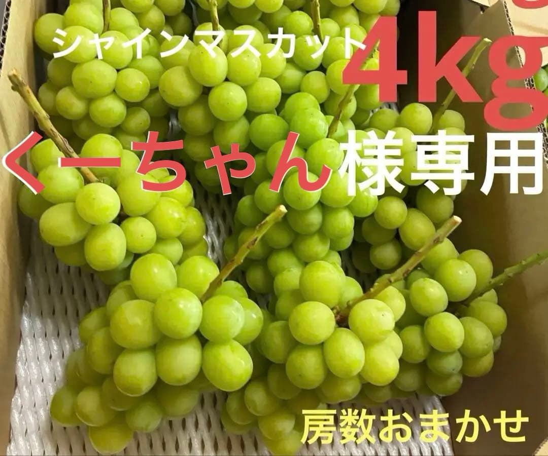 ★★くーちゃん発送現品おまかせ