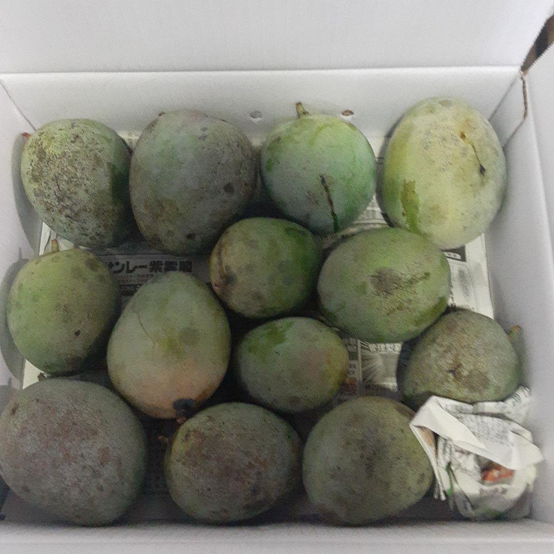 沖縄県産♪キーツマンゴー6㎏⑤