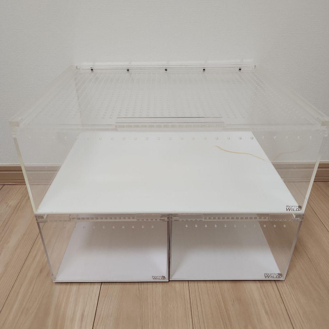 REPTI WILD レプタイルボックス2個 ワイド1個セット　おまけ付き