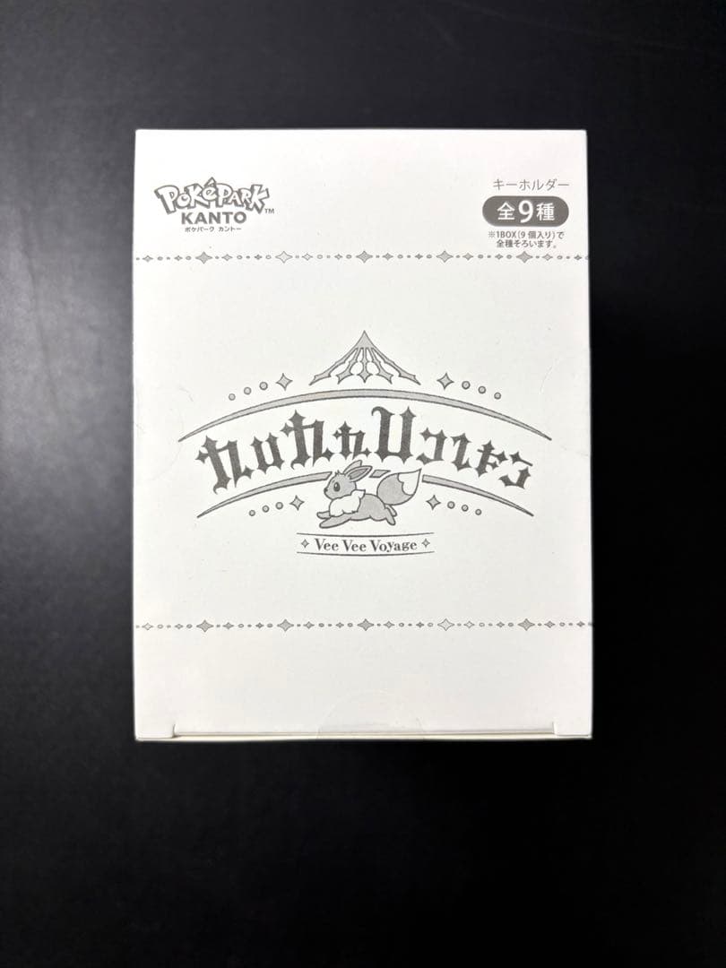 ポケパークカントー限定　イーブイズ　アクリルキーホルダー　フルコンプセット