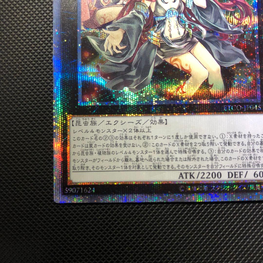 ※ウサギ　遊戯王　アロメルスの蟲惑魔　20thシークレット