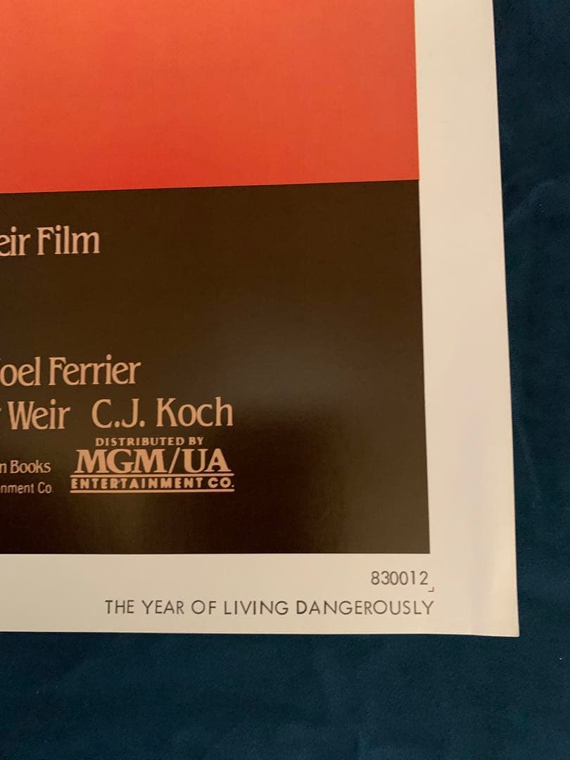 危険な年　USオリジナル映画ポスター