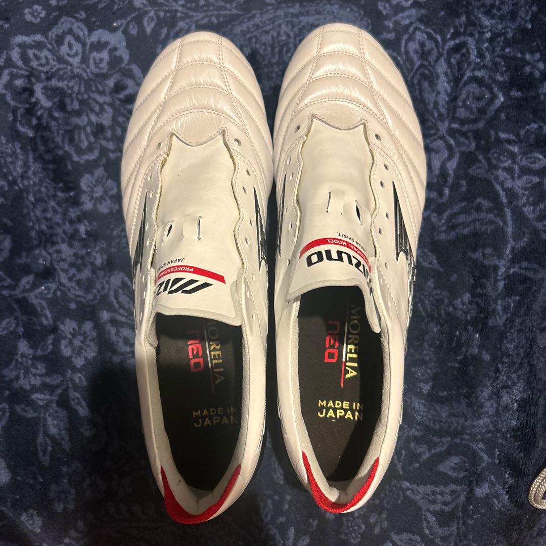 モレリアネオ4取り替え式