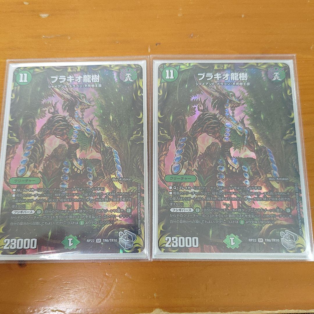 ブラキオ龍樹　２枚