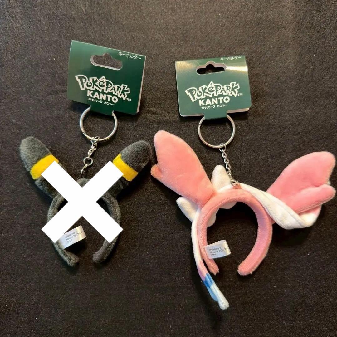 ポケパーク　ニンフィア　セット