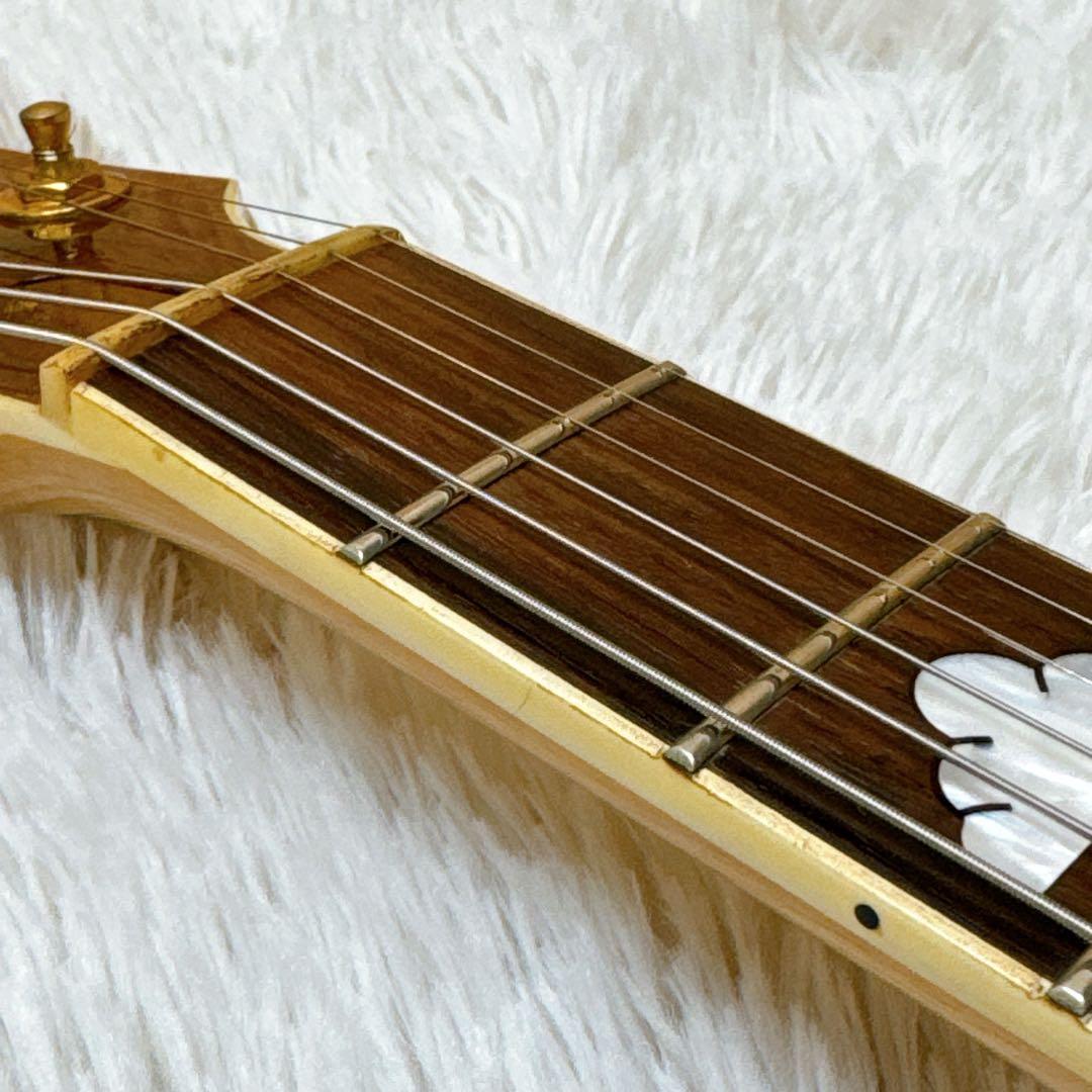 Burny MG-145S 165 / X JAPAN hideモデル CS