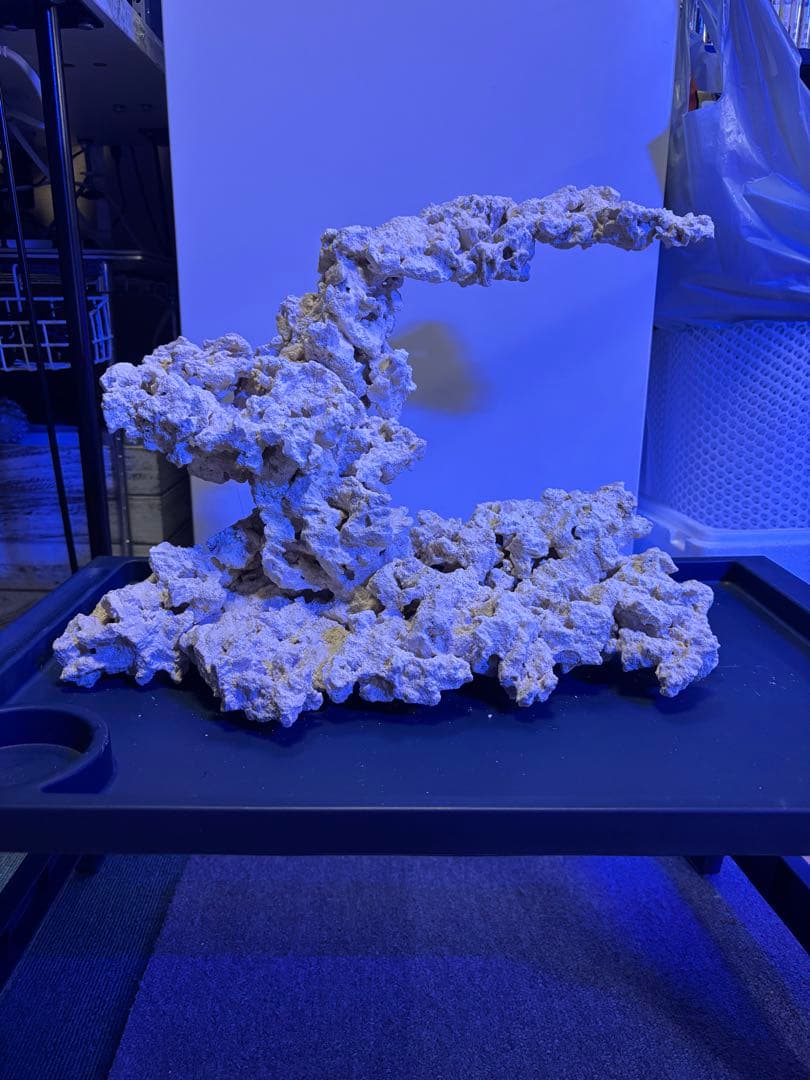 【一点物】マルコロックレイアウト品　海水・サンゴ水槽向け