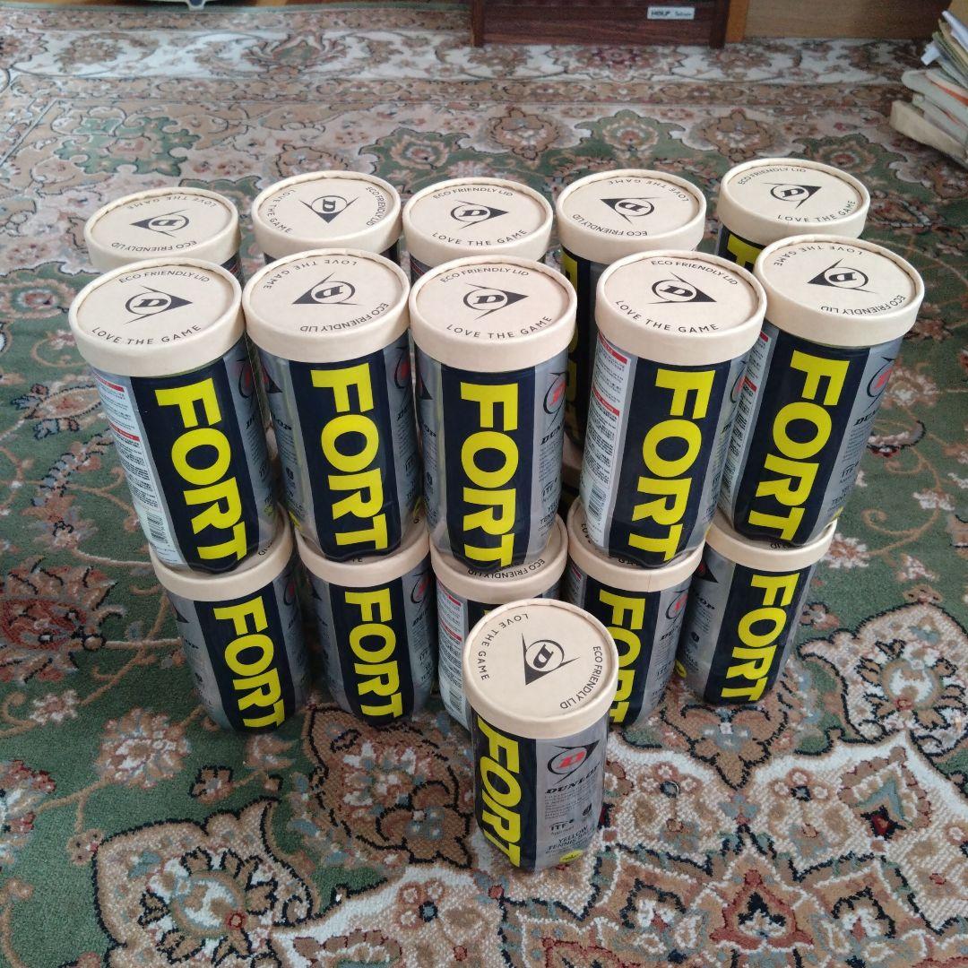 DUNLOP ダンロップ テニスボール FORT 21缶まとめ売り