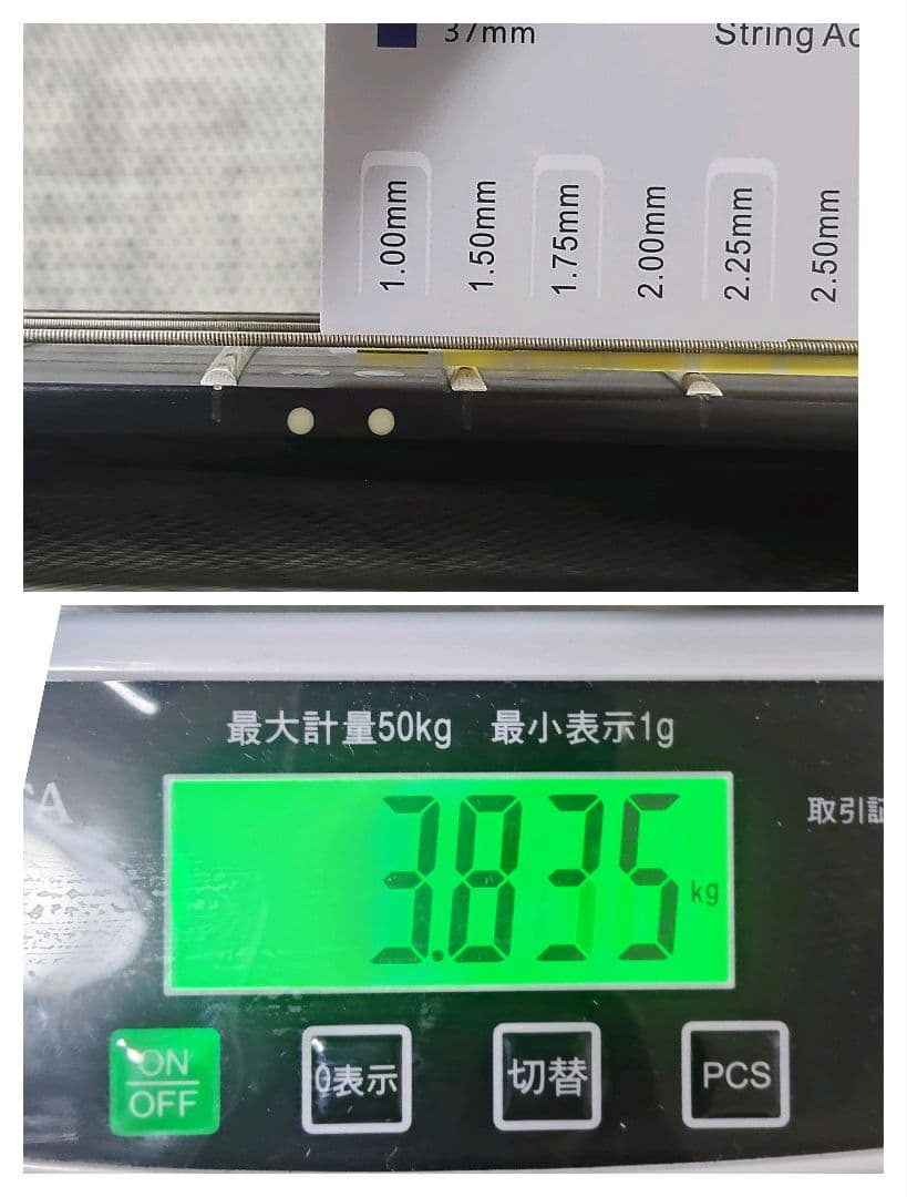 Edwards E-FR-130GT スルーネック セイモアダンカン