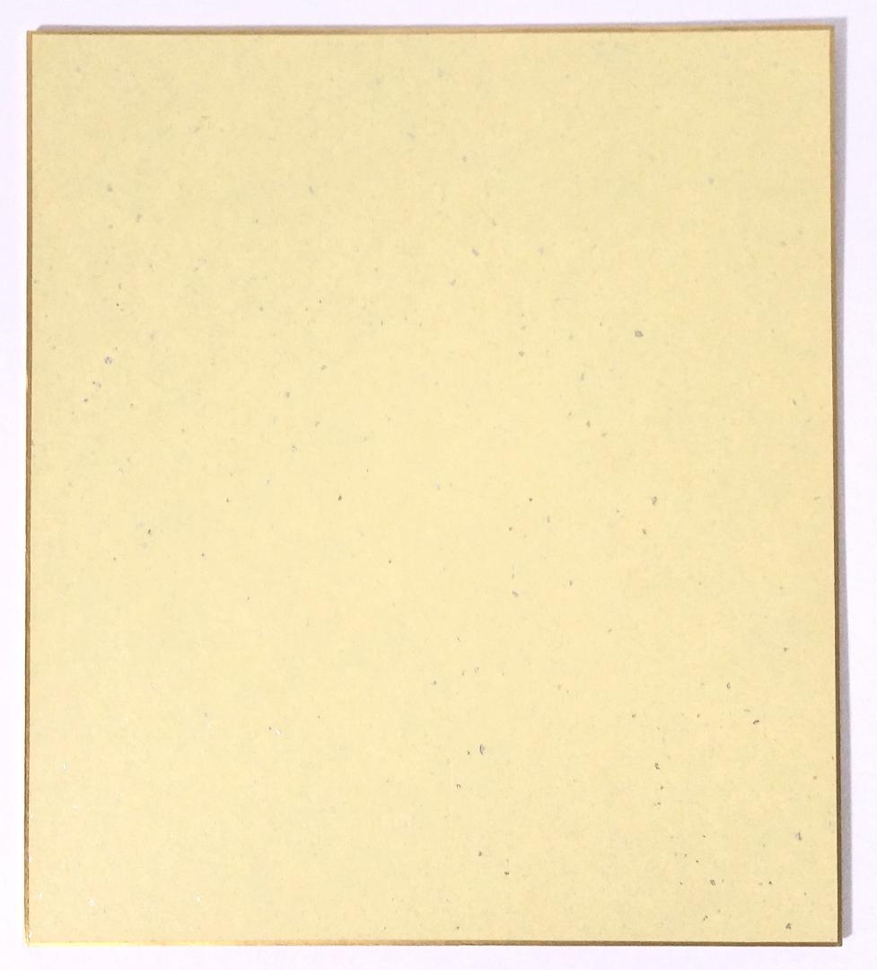 碧き海の囚われ姫 鮎村幸樹 直筆イラスト サイン入り 色紙 マツリカ 海賊 乙女