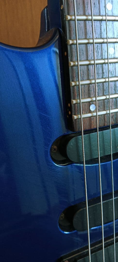 フェルナンデス fr55