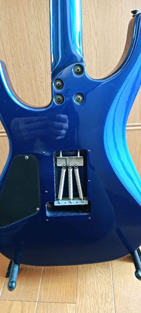 フェルナンデス fr55