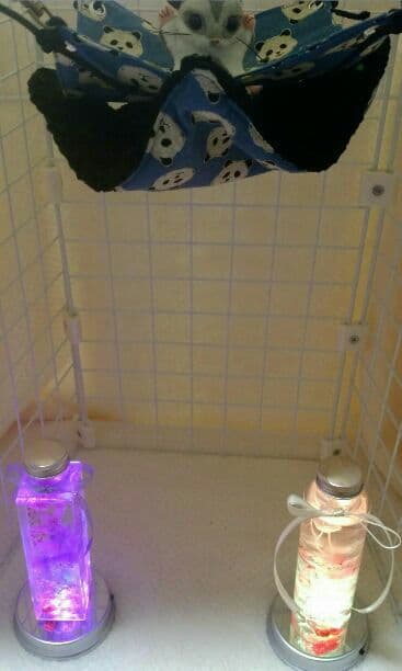 モモンガハウス(パンダ柄・青)  1900円