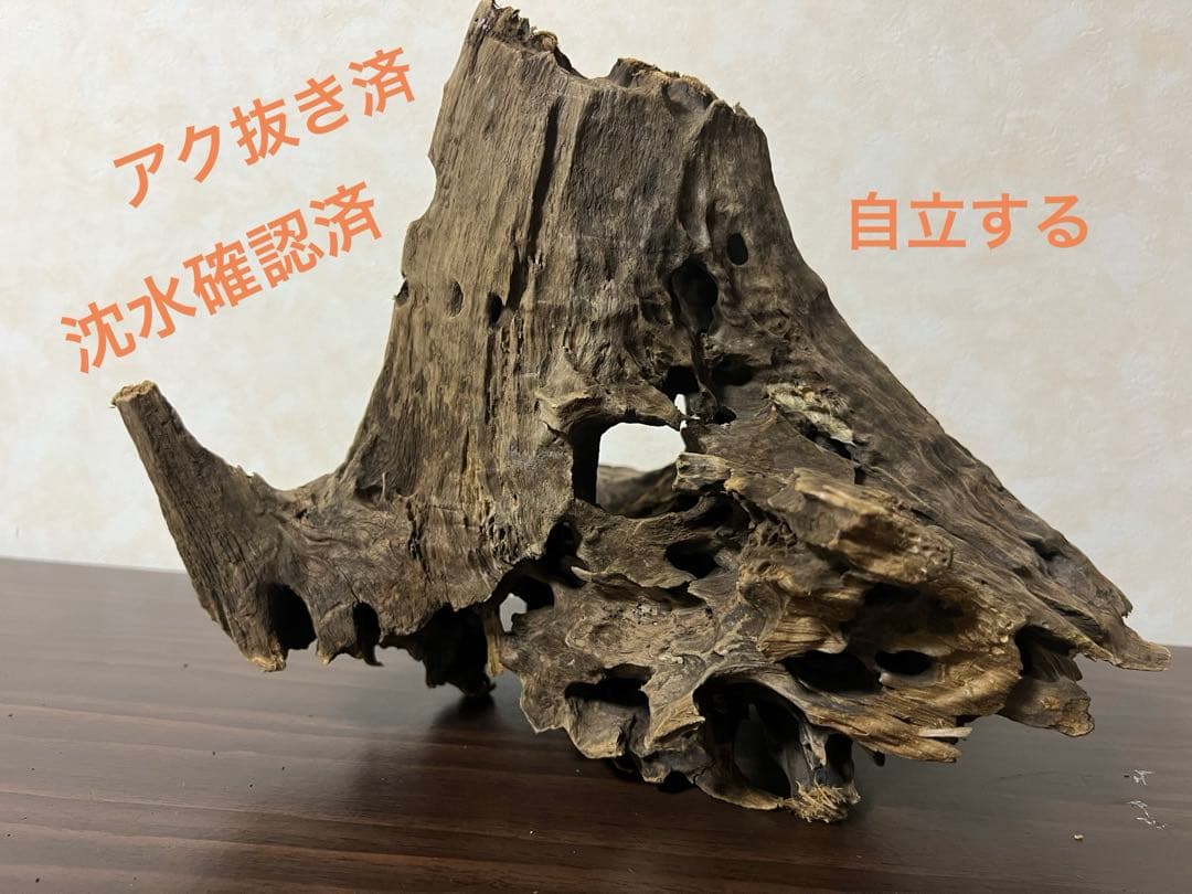(XM-200)流木　マシンガンウッド　アクアリウム　沈水確認済　ブランチウッド