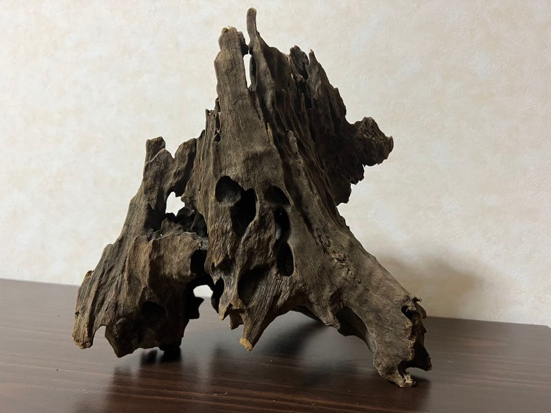 (XM-200)流木　マシンガンウッド　アクアリウム　沈水確認済　ブランチウッド