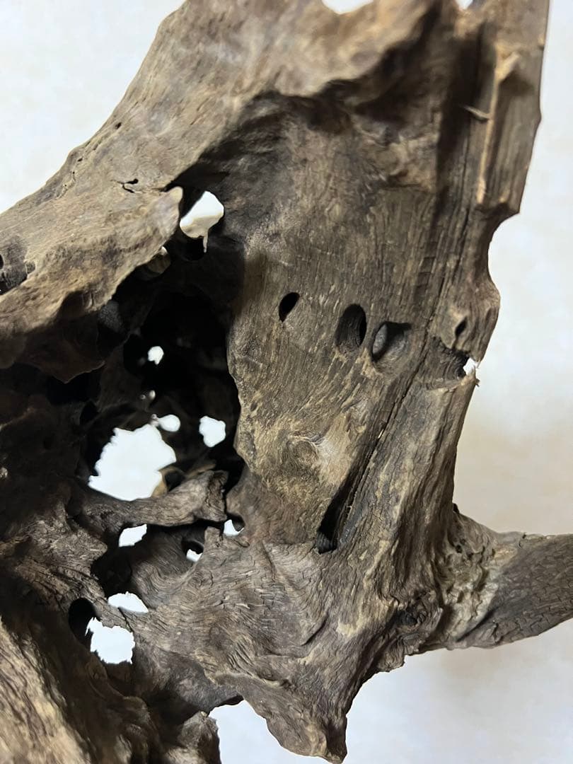 (XM-200)流木　マシンガンウッド　アクアリウム　沈水確認済　ブランチウッド