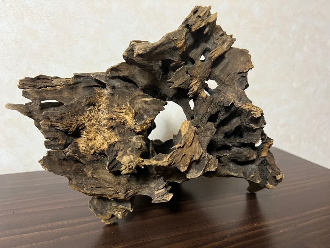 (XM-200)流木　マシンガンウッド　アクアリウム　沈水確認済　ブランチウッド