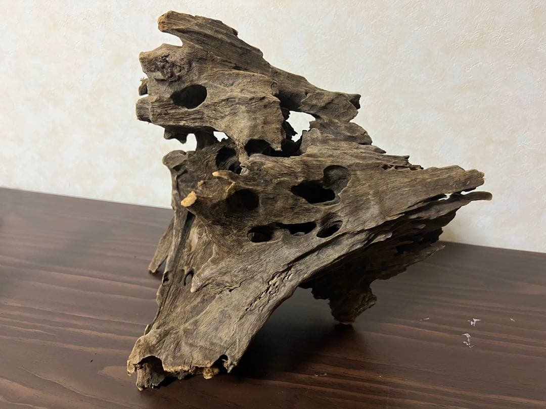 (XM-200)流木　マシンガンウッド　アクアリウム　沈水確認済　ブランチウッド