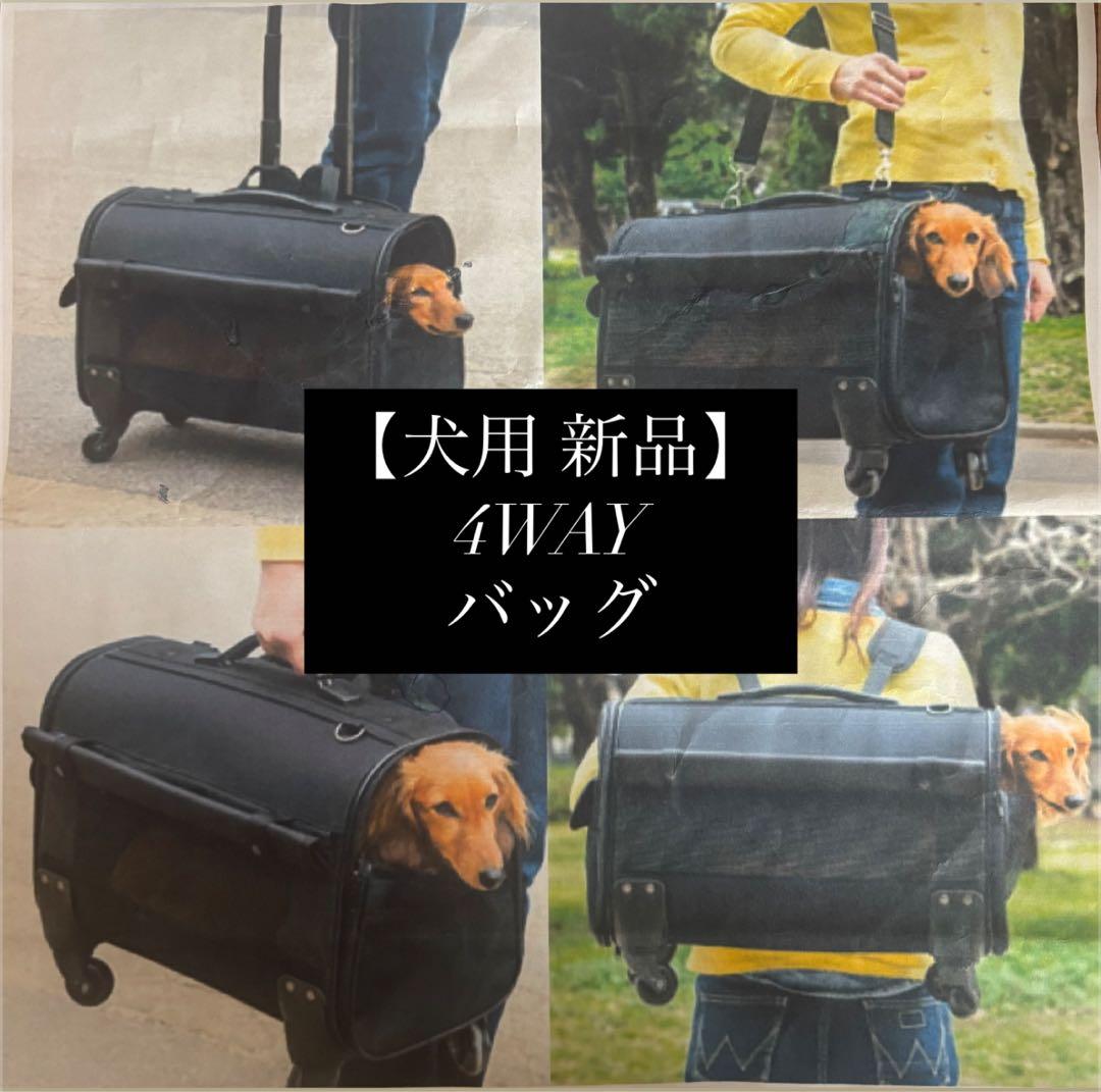 犬用キャリーバッグ 4way