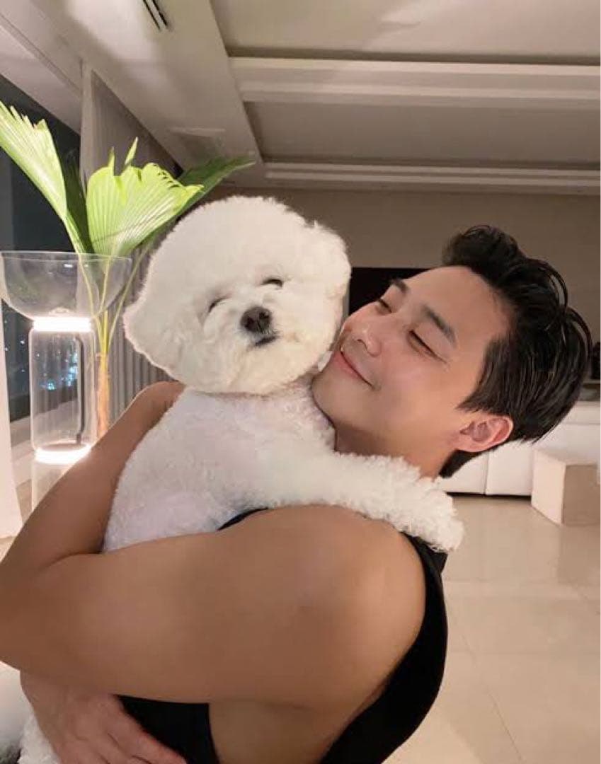 即日配送パクソジュン　ウイスキー　26