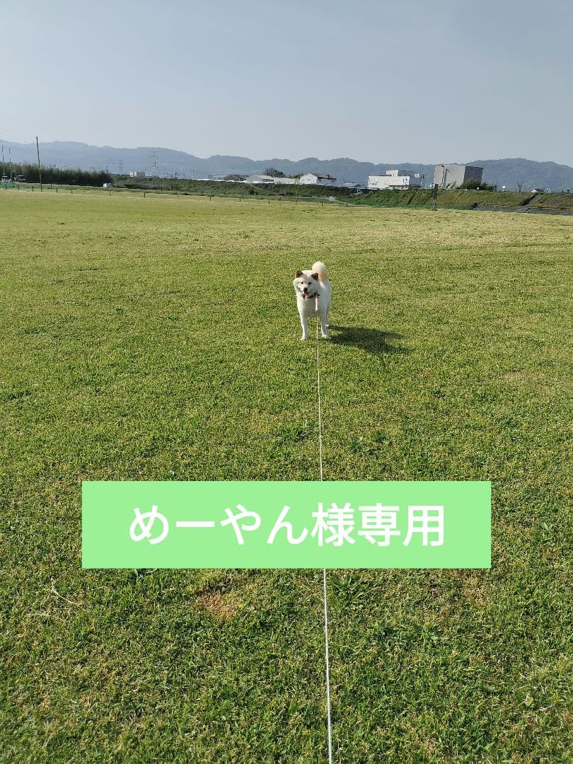 めーやん　キヌムスメ