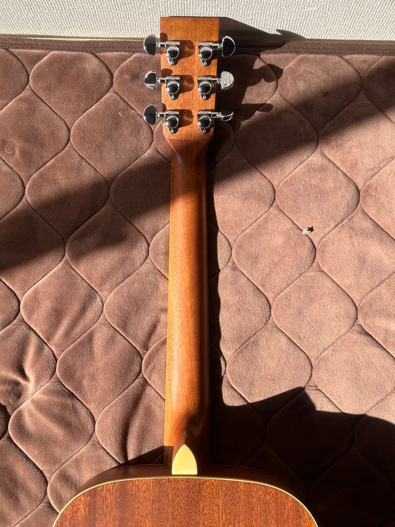 スタッフォードSF-300F-NFishman搭載｜ショートスケール｜専用ケース