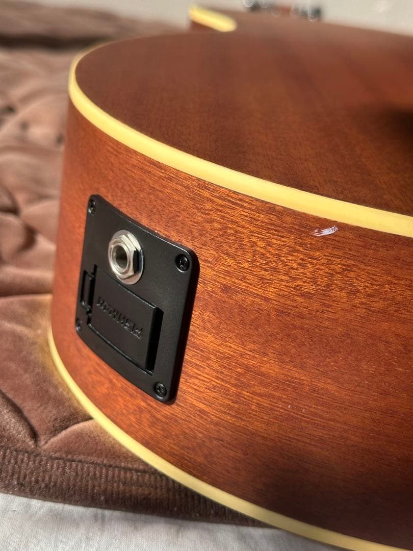 スタッフォードSF-300F-NFishman搭載｜ショートスケール｜専用ケース