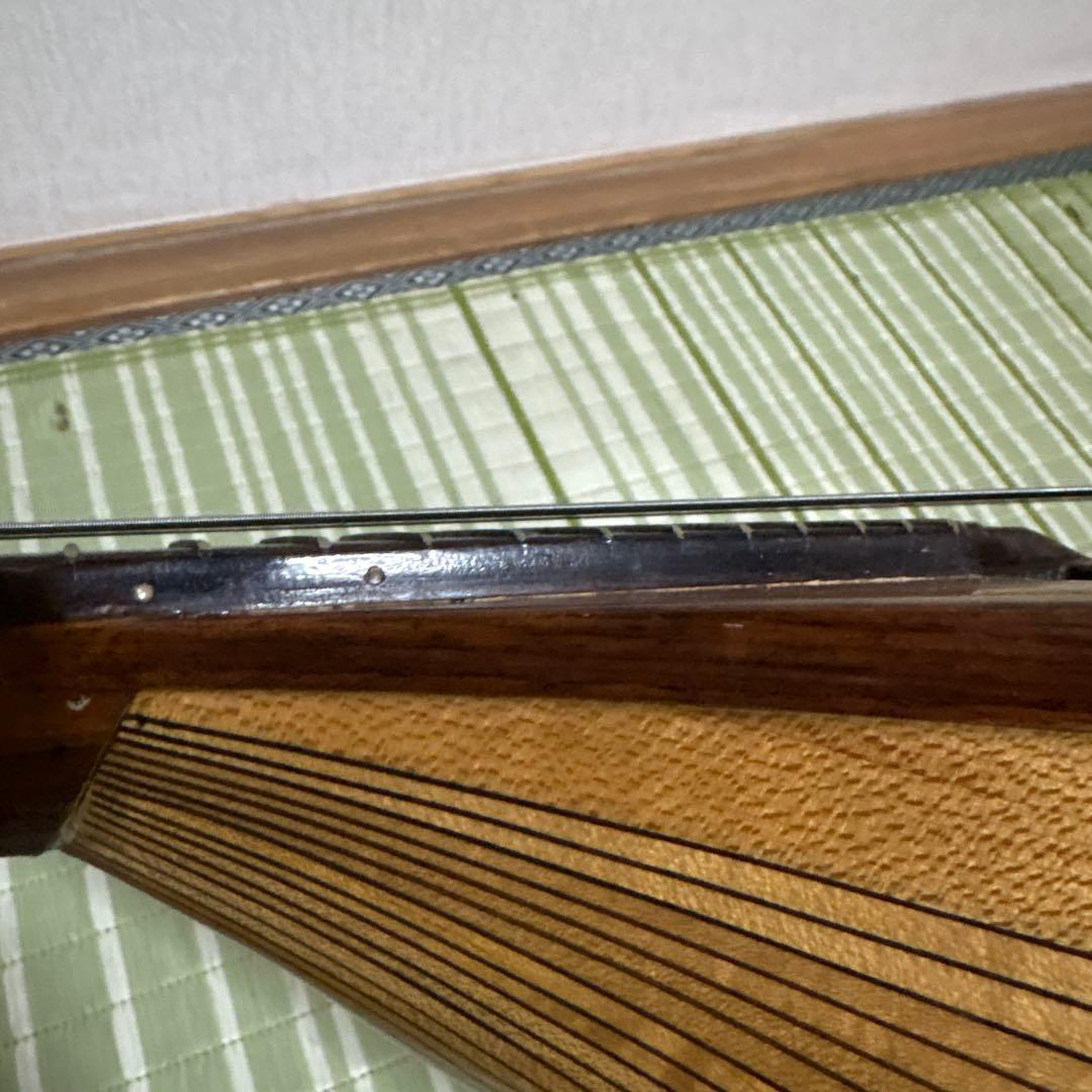 Raffaele 寺田楽器製 ハイエンド マンドリン RM-3 弦　ギター