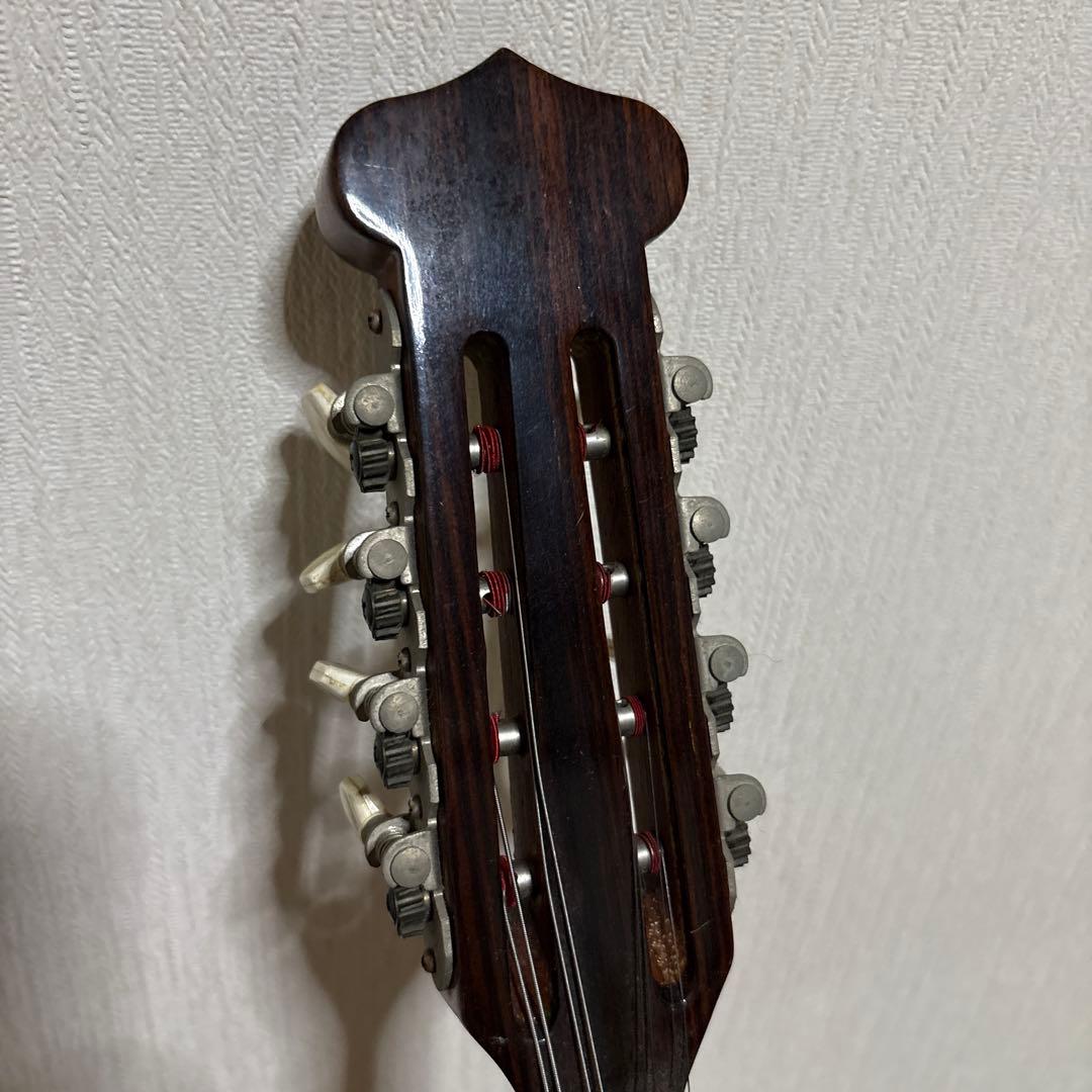 Raffaele 寺田楽器製 ハイエンド マンドリン RM-3 弦　ギター