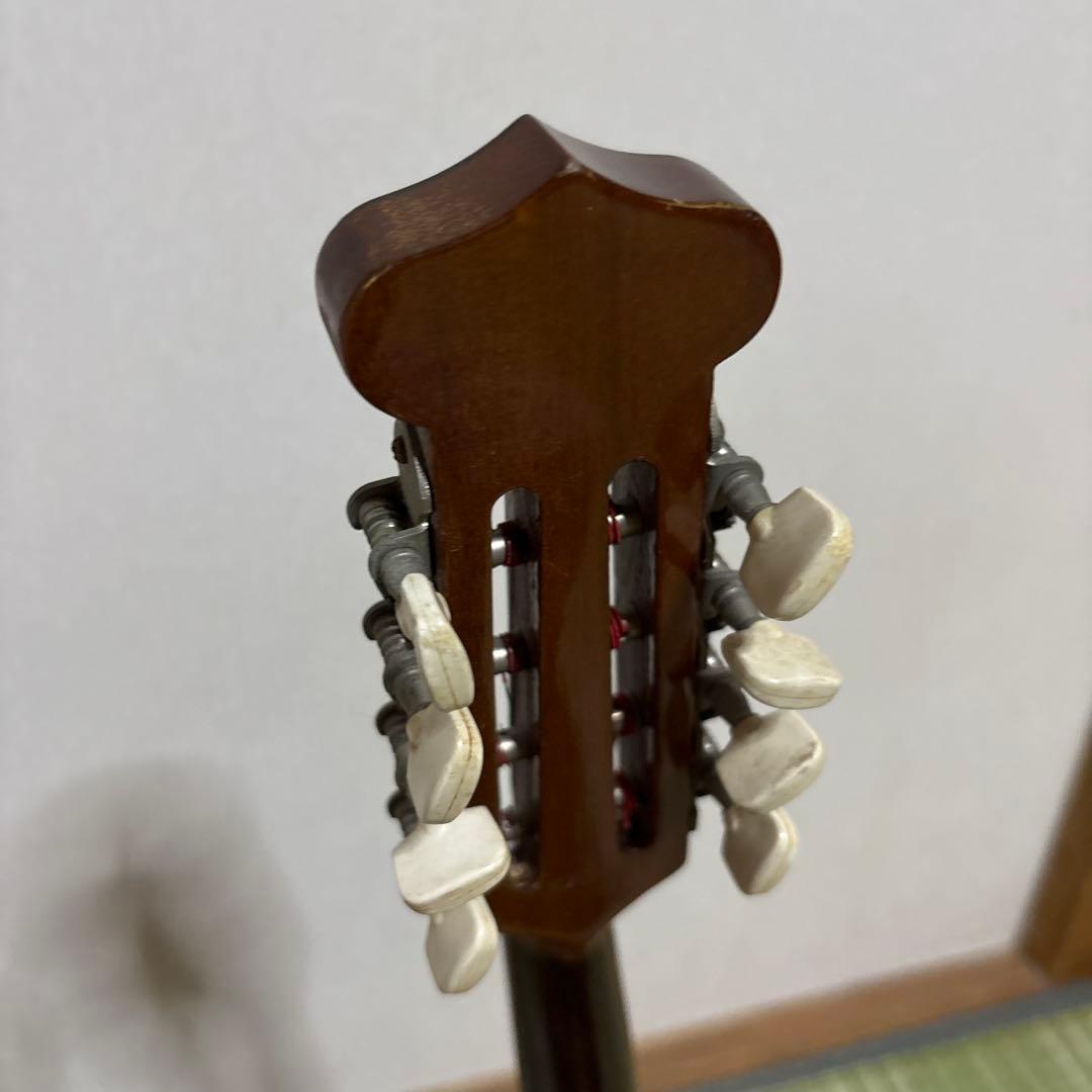 Raffaele 寺田楽器製 ハイエンド マンドリン RM-3 弦　ギター