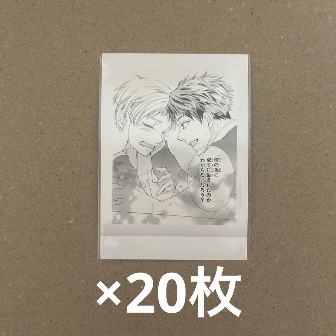 桜蘭高校ホスト部　ぱしゃこれ