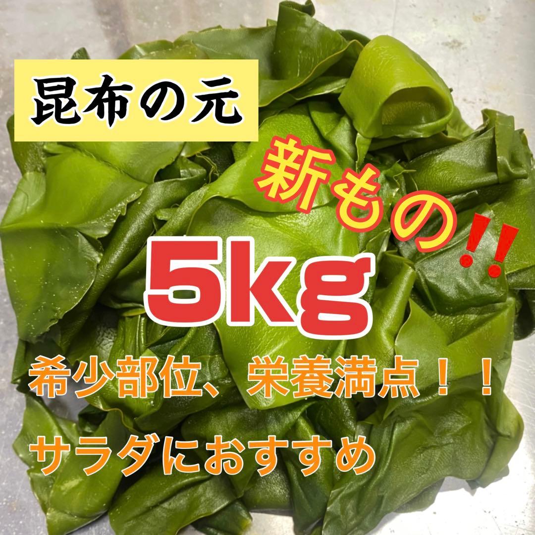 新芽わかめ 昆布の元セット 本日限り限定1箱