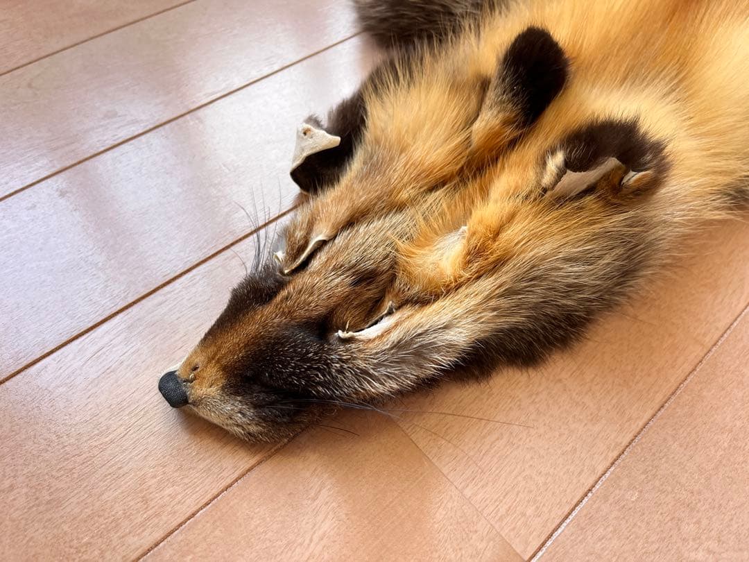 超希少 幻の十字ギツネ / クロスフォックス リアルファー C5★ラグ 毛皮