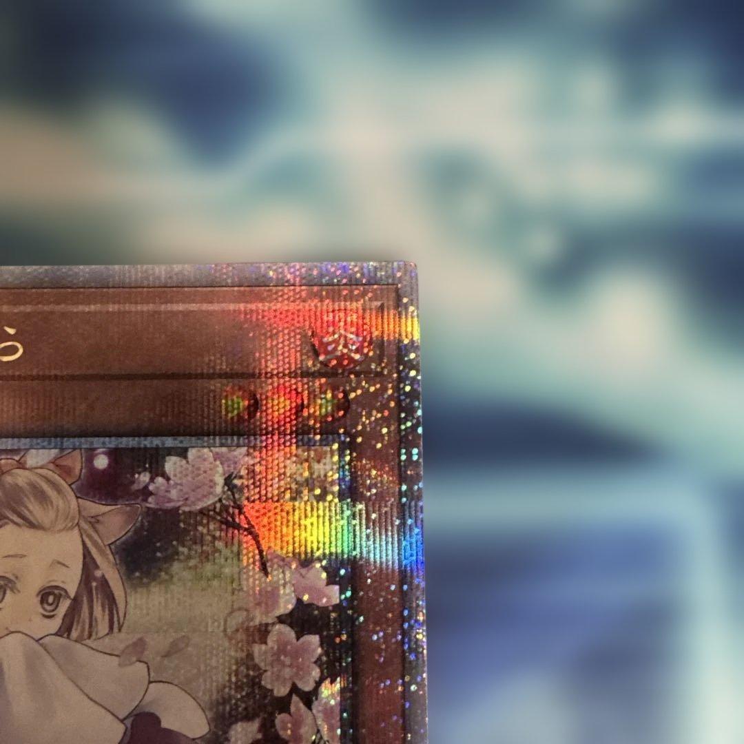 遊戯王　灰流うらら はるうらら　25th 絵違い　クオシク　初期傷あり