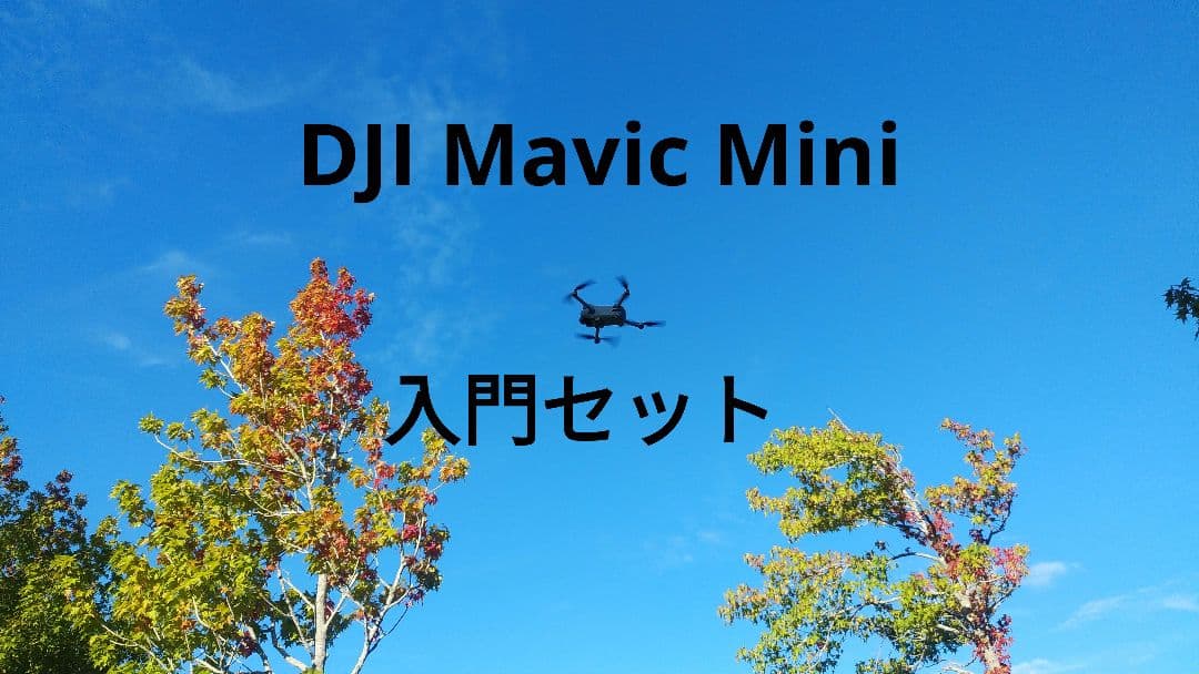 【専用】DJI Mavic Mini 入門セット予備バッテリーと予備プロペラつき