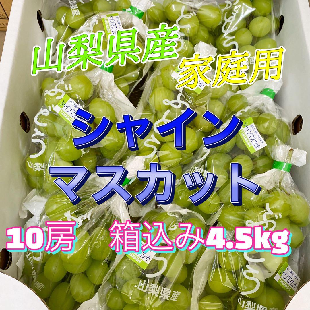 山梨県産　訳あり　家庭用　シャインマスカット　10房　箱込み4.5kg ㉑