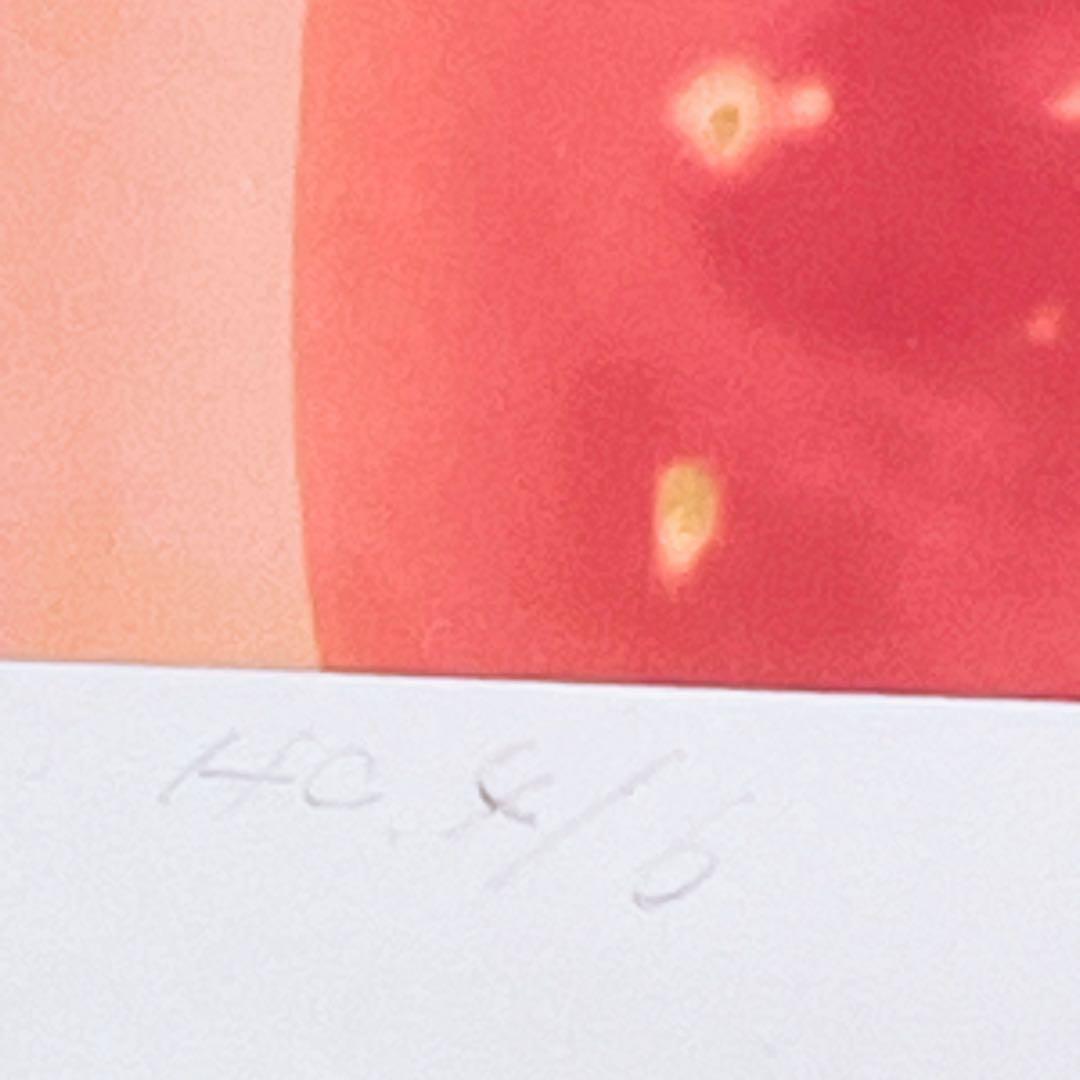 【シリアル４／６】紅蓮の炎舞　Tony版画　シャイニングシリーズ