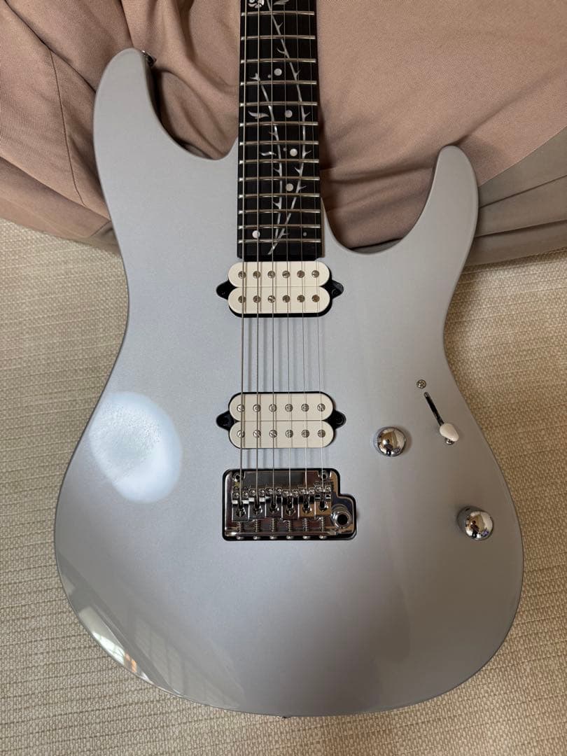 【期間限定値下げ】2025年4月新品購入 Ibanez TOD 10