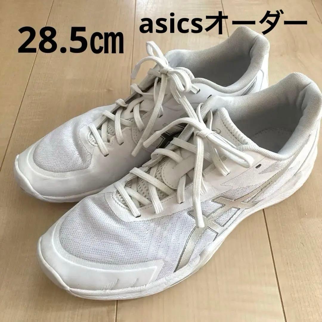 ASICS バレーボールシューズ ホワイト　オーダーシューズ　28.5㎝