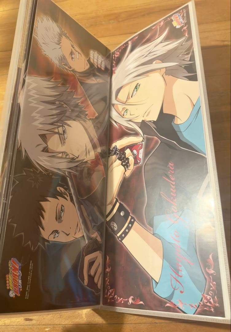 リボーン キャラポス 収納ファイル ポスター 32枚 美品