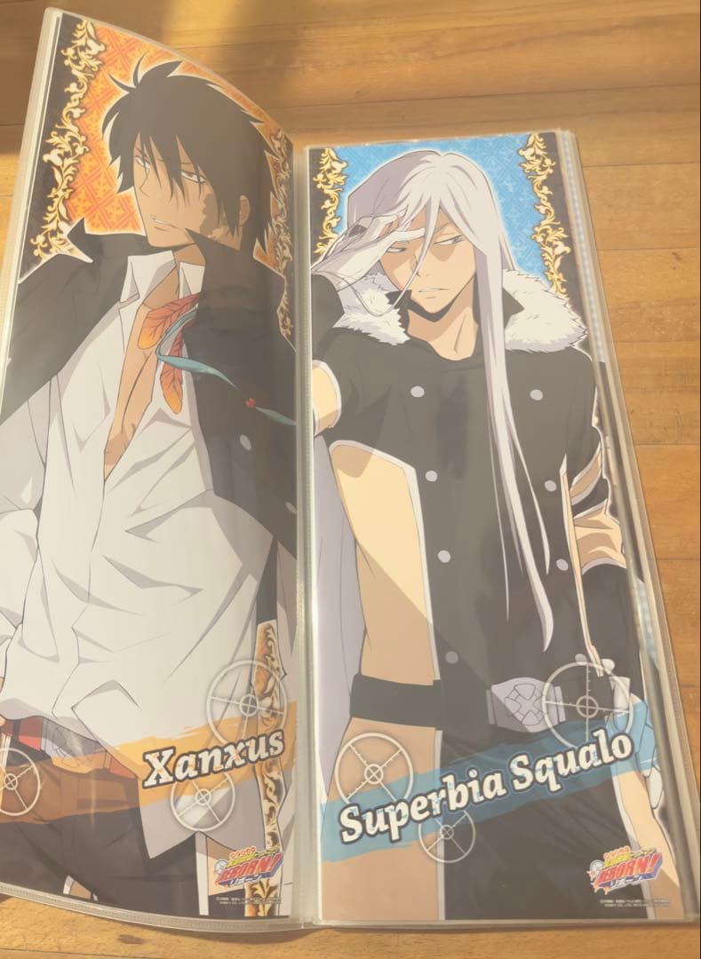 リボーン キャラポス 収納ファイル ポスター 32枚 美品