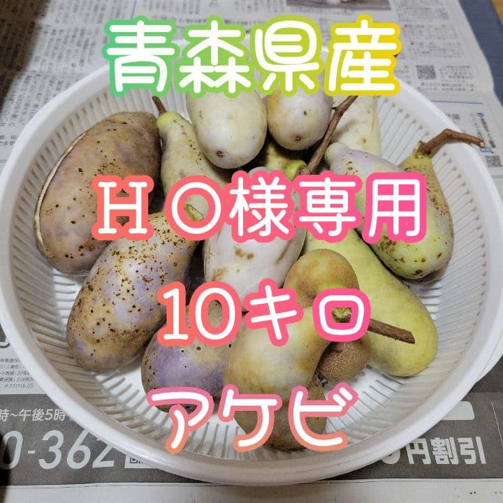 専用 青森県産アケビ10キロ