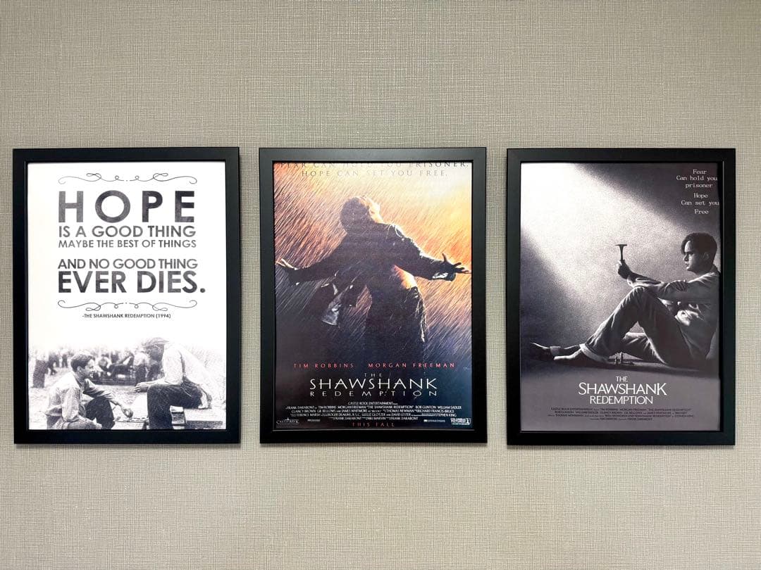 No.289フレーム付きキャンバスアート　ショーシャンクの空に　映画ポスター