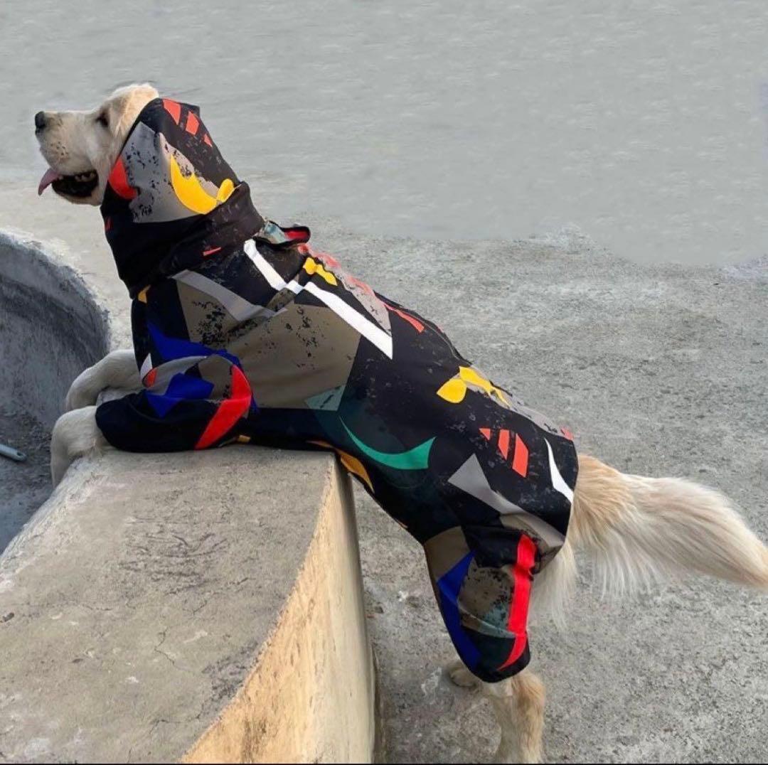 犬服2枚レインコート2枚