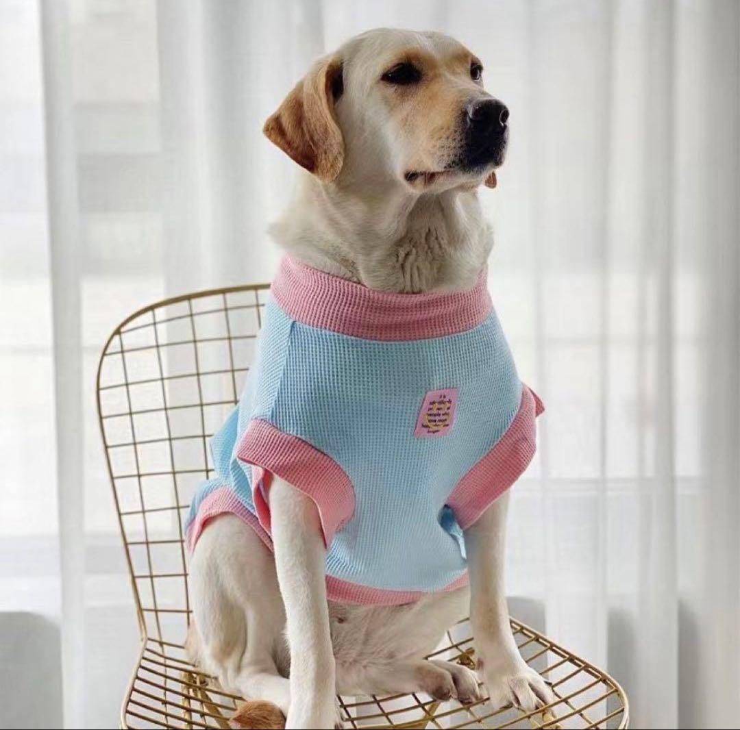 犬服2枚レインコート2枚